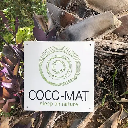 Kivotos لاردوس