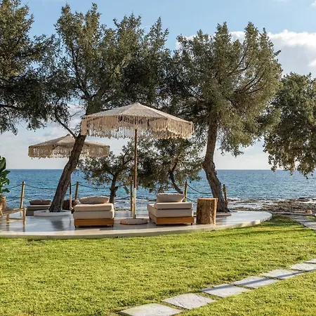 Kivotos * لاردوس