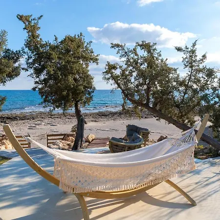 فيلة Kivotos لاردوس