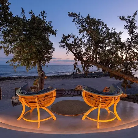 فيلة Kivotos لاردوس